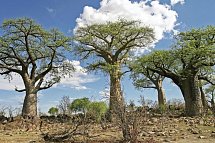 Sensation Canyons und Wüsten Superior - Kalahari Wüste