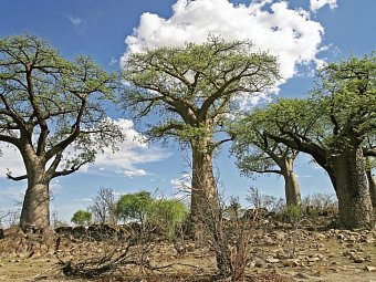 Sensation Canyons und Wüsten Superior - Kalahari Wüste