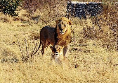 Namibia Kaleidoskop Superior Windhoek