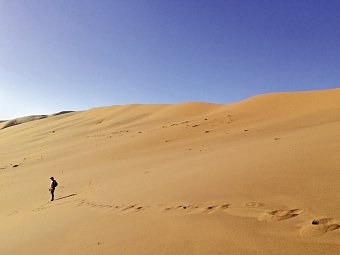 Das ist Namibia! - Sossusvlei