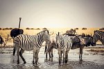 Das ist Namibia!