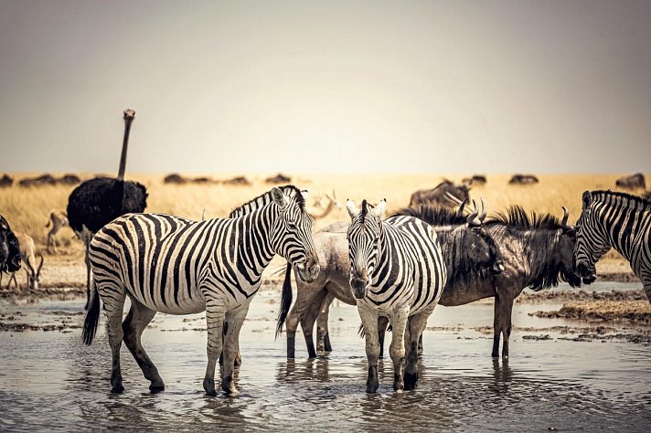 Das ist Namibia!