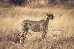 Das ist Namibia!