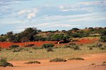 Namibias Nationalparks