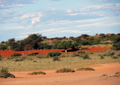 Namibias Nationalparks Windhoek
