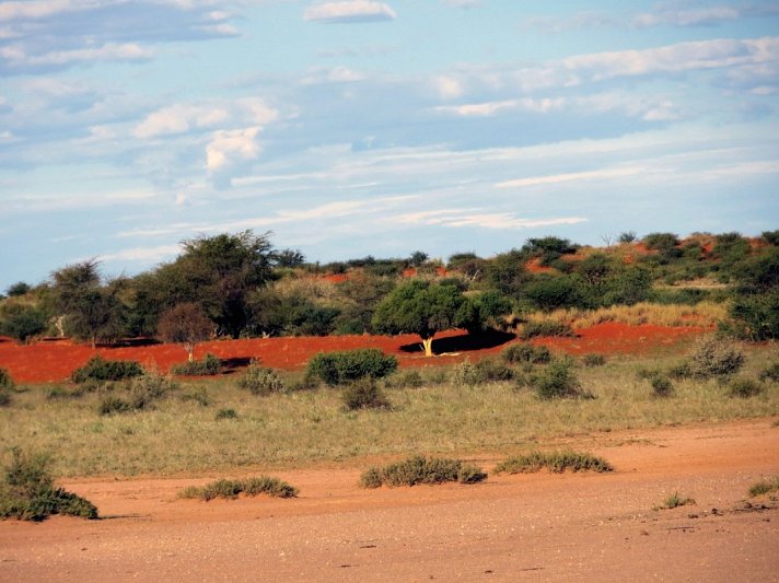 Namibias Nationalparks
