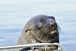 Namibias Nationalparks