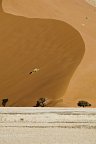 Namibias Nationalparks - Sossusvlei
