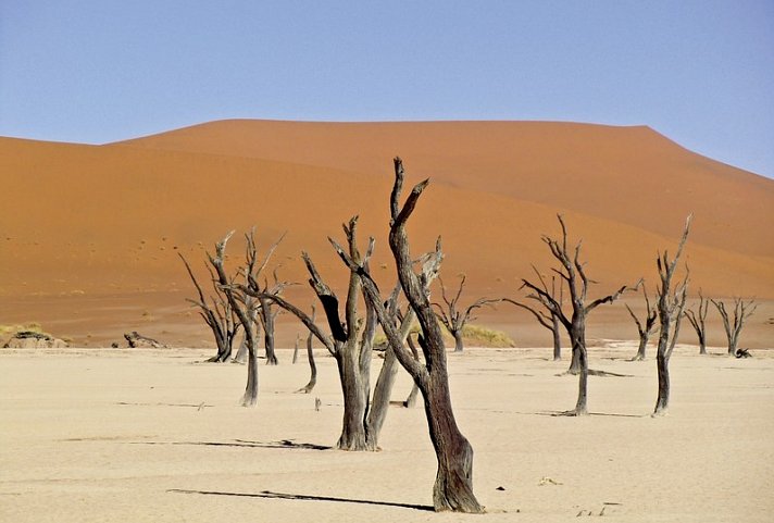 Dünenzauber Sossusvlei - Dead Vlei