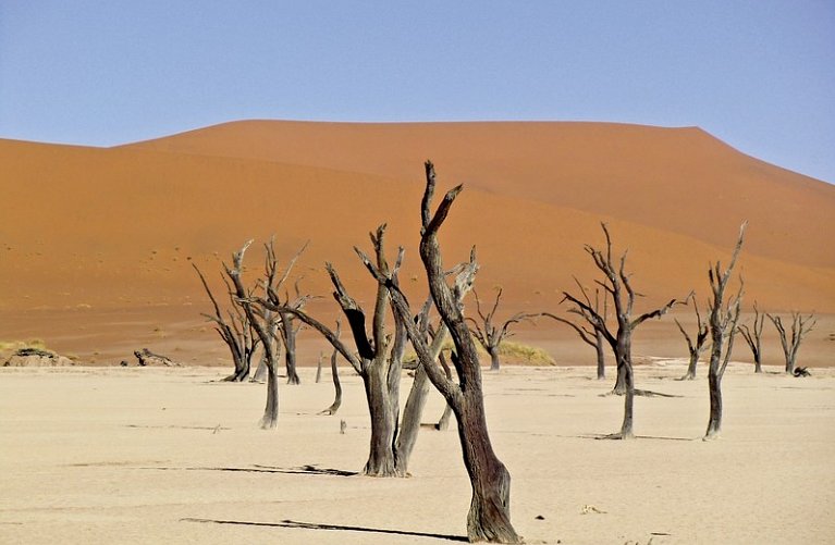 Dünenzauber Sossusvlei