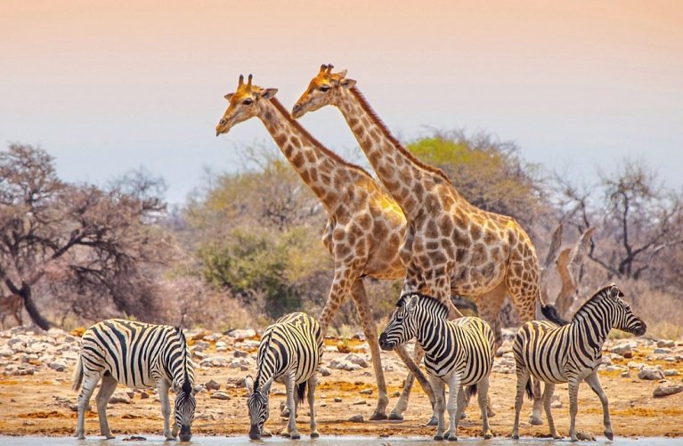 Namibia für Einsteiger