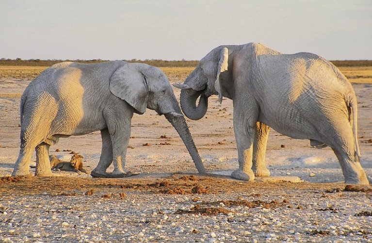 Namibia für Einsteiger