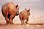 Namibia zum Verweilen Nordwärts