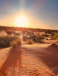 Namibia zum Verweilen Nordwärts - Sonnenuntergang in der Kalahari