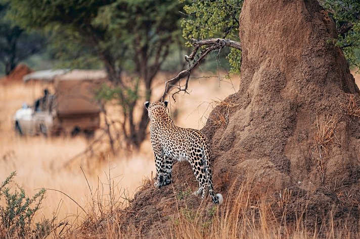 Namibia zum Verweilen Nordwärts
