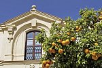 Das Beste von Andalusien (ab/bis Jerez)