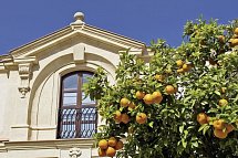 Das Beste von Andalusien (ab/bis Jerez)