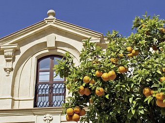 Das Beste von Andalusien (ab/bis Jerez)
