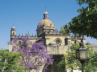 Das Beste von Andalusien (ab/bis Jerez) - Jerez de la Frontera