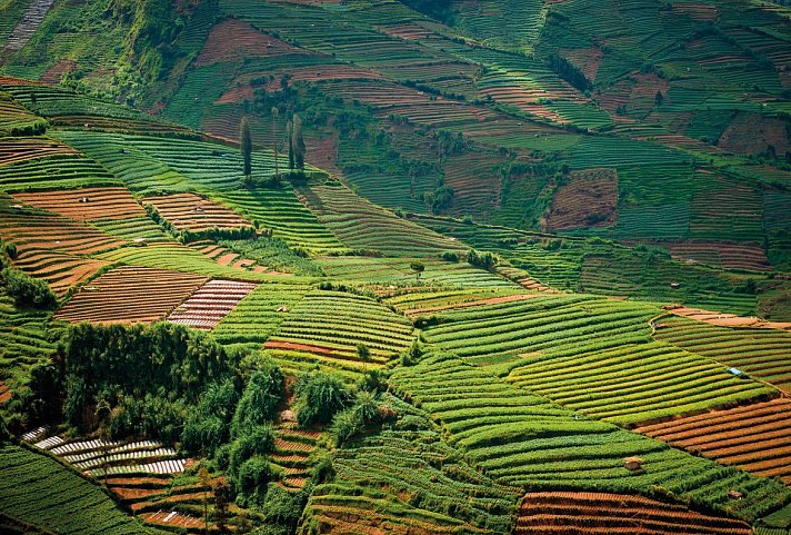 Natur, Kultur und Tradition (Privatreise) - Dieng Plateau, Java