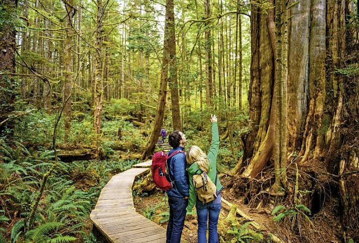 Schatzinsel Vancouver Island - Tofino, Hot Springs Cove