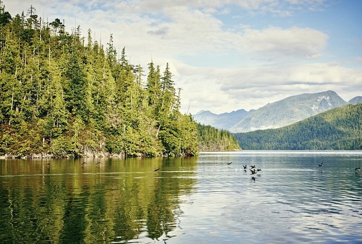 Schatzinsel Vancouver Island - Tofino