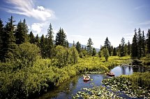 Mächtige Rockies & Charmante Küste - Bergidylle bei Whistler