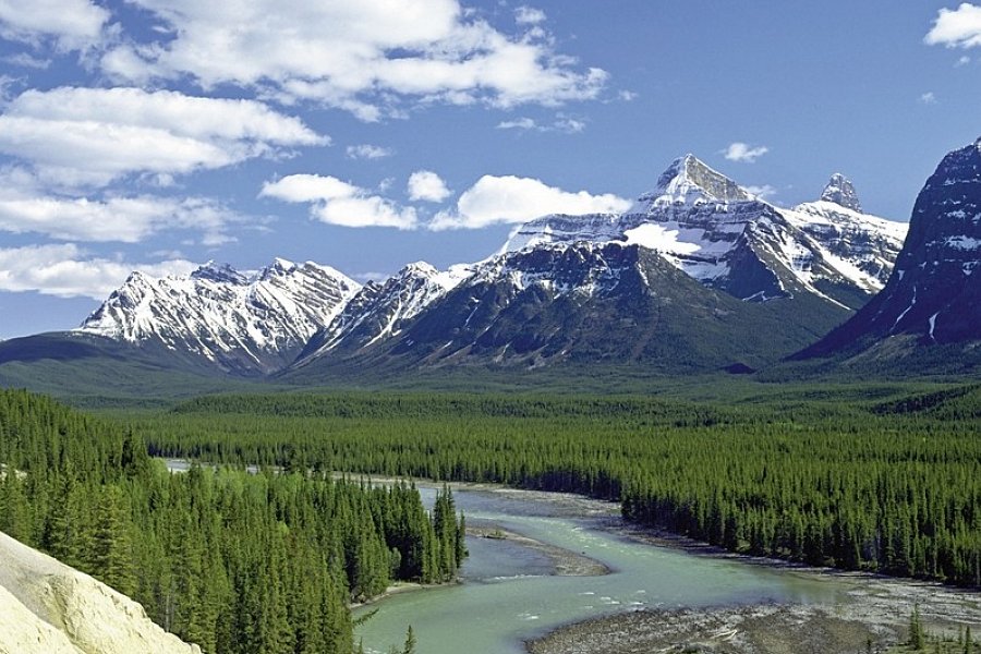 Best of Alberta - Athabasca Gletscher