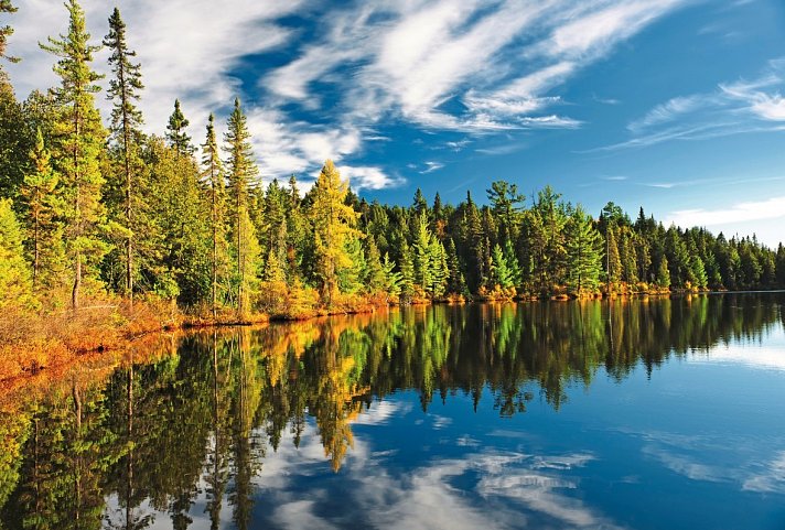 Eastern Canada (18 Nächte) - Algonquin Provincial Park