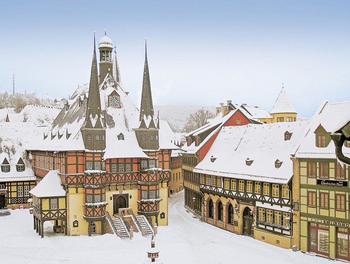 Hotel Harz