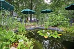 Kurpark Flair Hotel im Ilsetal