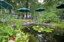 Kurpark Flair Hotel im Ilsetal