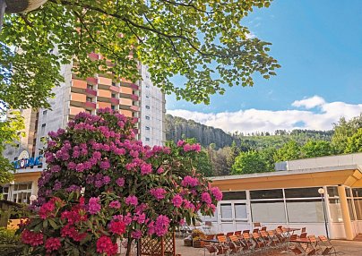 Panoramic Hotel - Ihr Apartmenthotel Bad Lauterberg im Harz