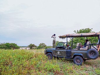Saadani Safari (2 Nächte)