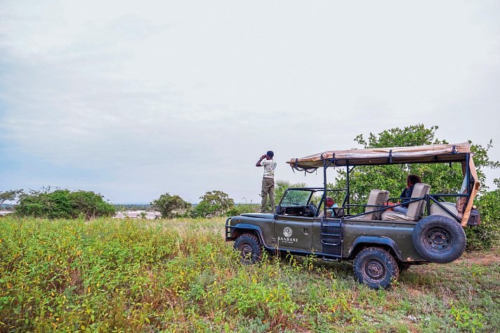 Saadani Safari (2 Nächte)