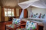 Saadani Safari (2 Nächte)