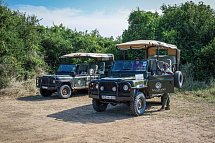 Saadani Safari (2 Nächte)