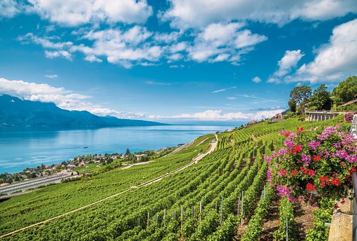 Grand Tour of Switzerland - UNESCO-Welterbestätten - Weinbaugebiet Lavaux am Genfersee