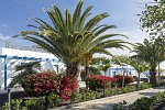 Elba Lanzarote Royal Village Resort