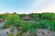 Flora Garden Beach - Zen Garten