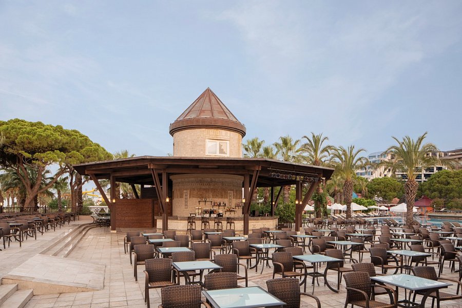 Papillon Ayscha