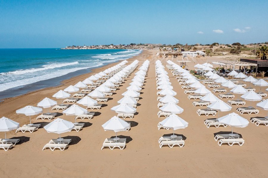 Barut Goia