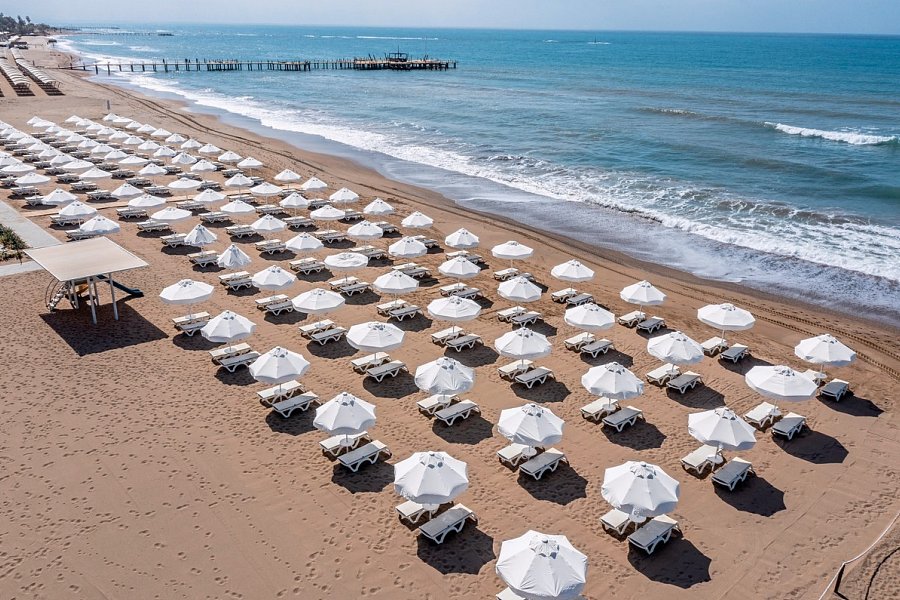 Barut Goia