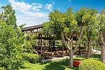 Barut Goia