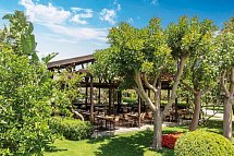 Barut Goia