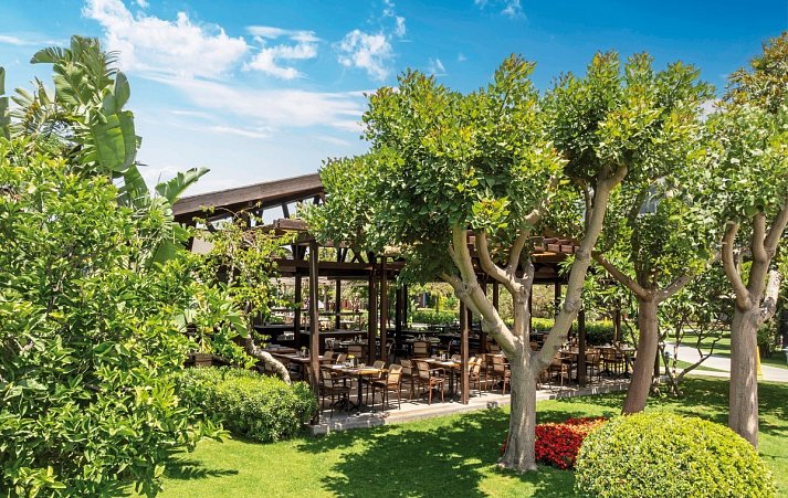 Barut Goia
