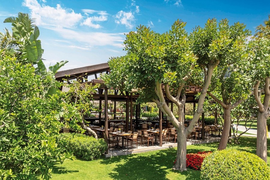 Barut Goia