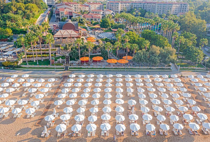 Arum Barut Collection
