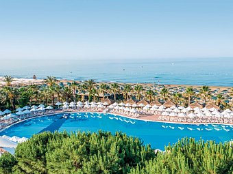 Paloma Oceana