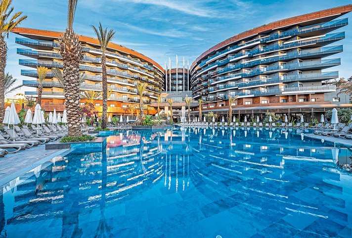 Calyptus Kirman Premium